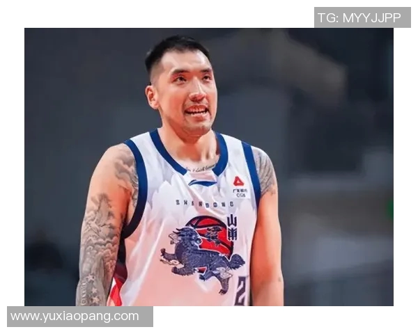 陶汉林：从篮球场上的拼搏者到社会公益的践行者的蜕变之路