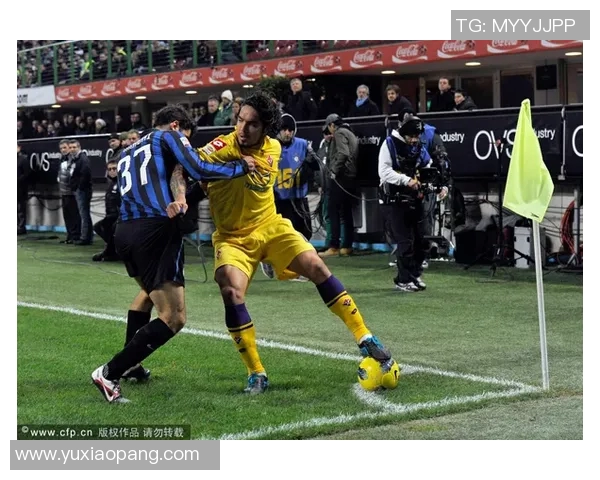 图库曼与帕梅激战在即谁能在这场较量中脱颖而出