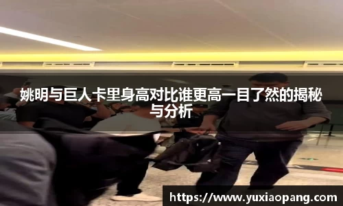 leyu乐鱼手机下载